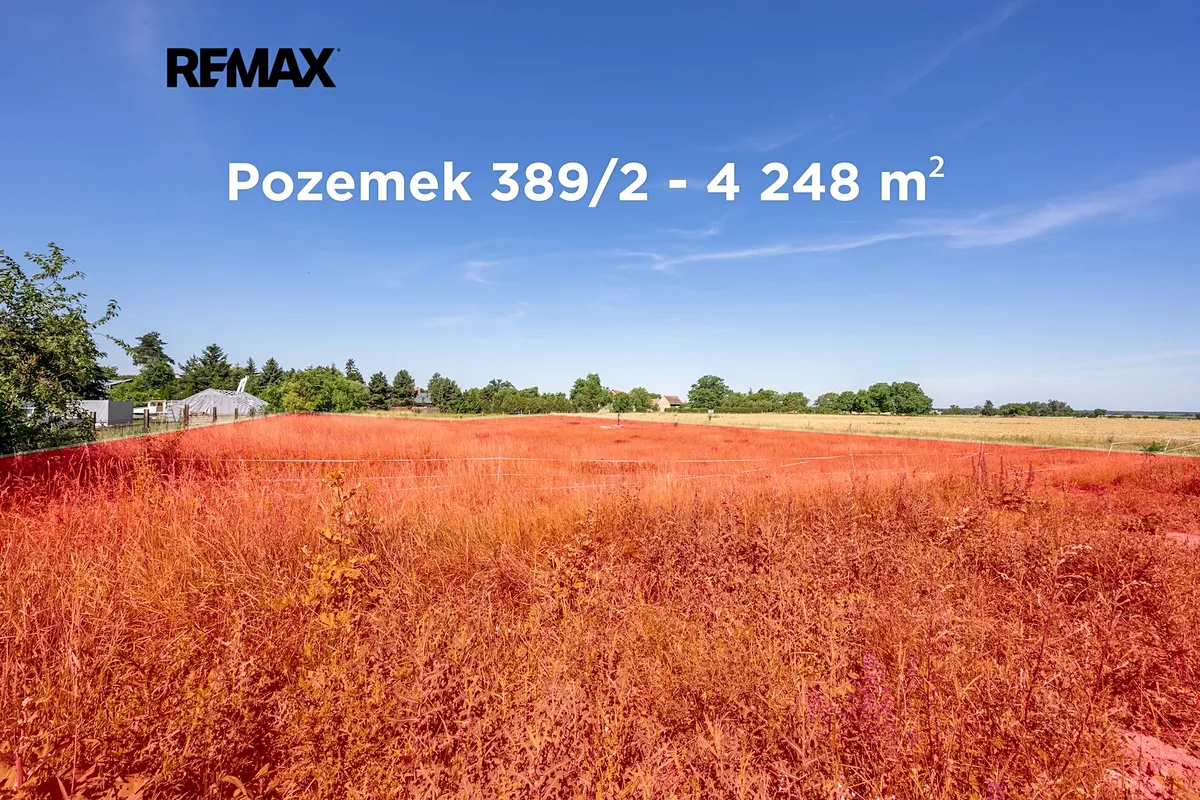 Fotka 15 z 28